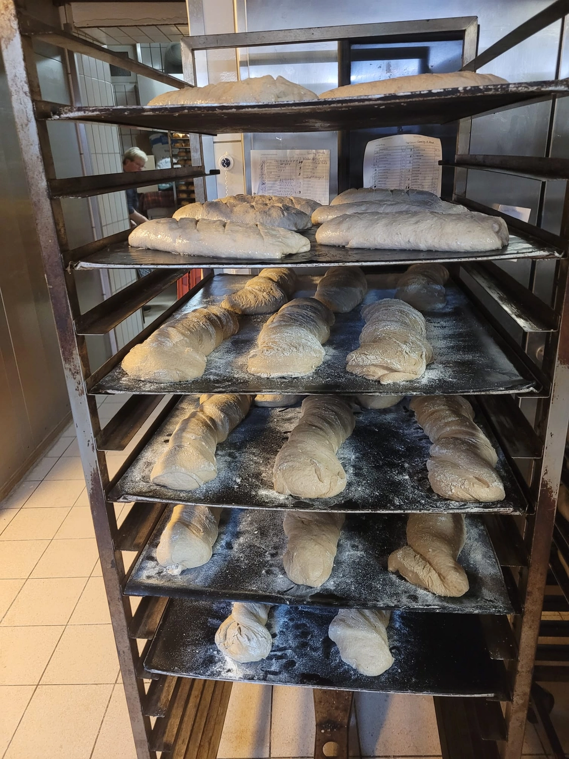Bäckerei Konditorei Neher Rettenberg - Backwaren und Lebensmitteln - Frisch gebackene Brötchen auf einem Gestell