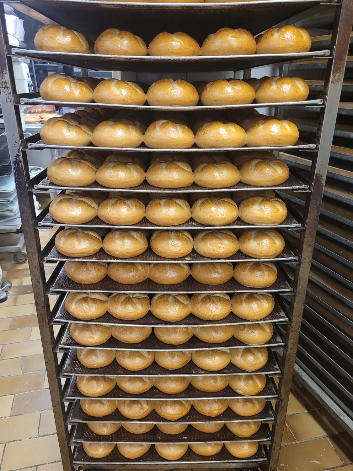 Bäckerei Konditorei Neher Rettenberg - Backwaren und Lebensmitteln - Frisch gebackene Brötchen auf einem Gestell