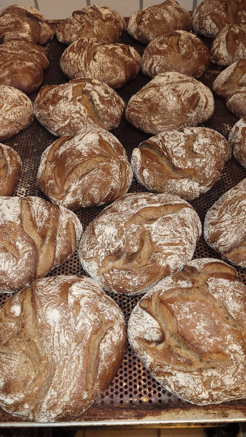 Bäckerei Konditorei Neher Rettenberg - Backwaren und Lebensmitteln - Eine frische Ladung handwerklich hergestellter Sauerteigbrote kühlt auf einem Metallgitter ab.