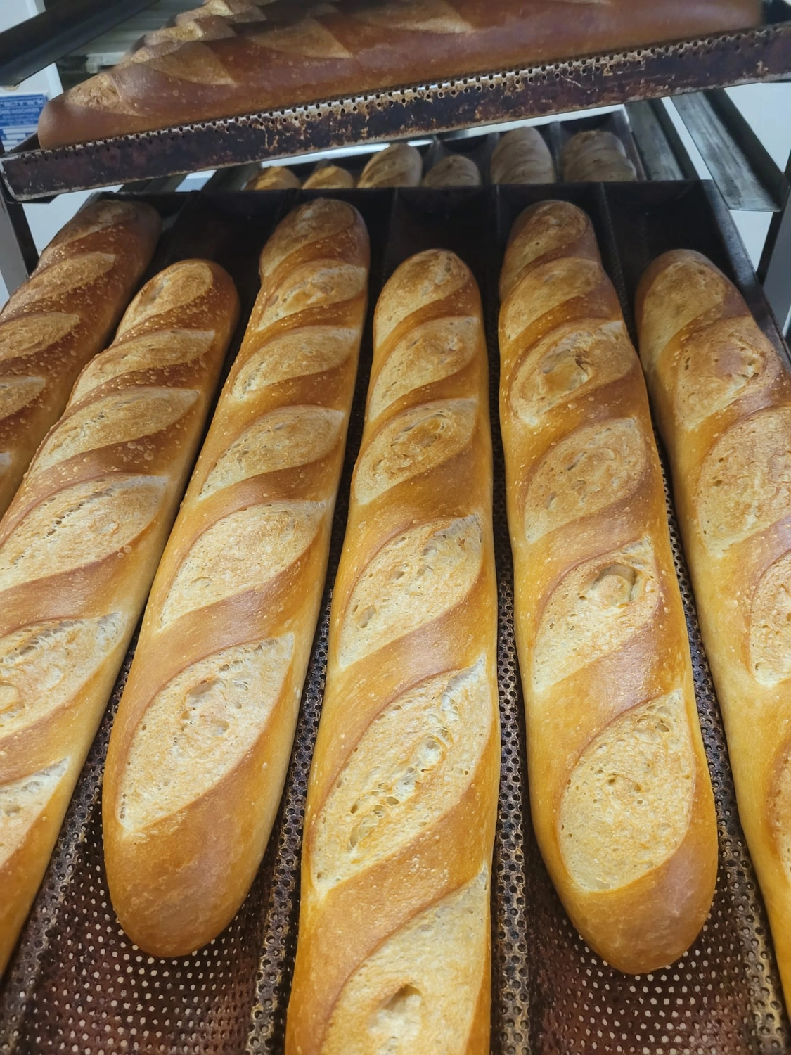 Bäckerei Konditorei Neher Rettenberg - Backwaren und Lebensmitteln - Frisch gebackene französische Baguettes kühlen auf einem Bäckereigitter ab.
